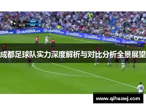 成都足球队实力深度解析与对比分析全景展望