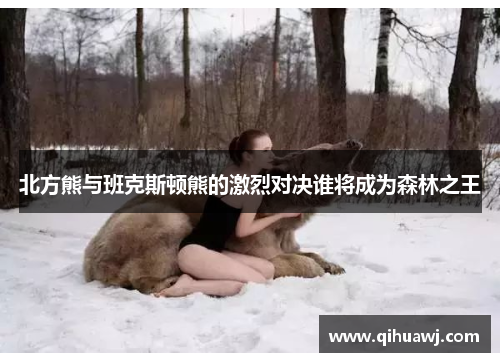 北方熊与班克斯顿熊的激烈对决谁将成为森林之王