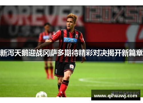 新泻天鹅迎战冈萨多期待精彩对决揭开新篇章