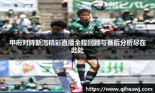 熊猫体育甲府对阵新泻精彩直播全程回顾与赛后分析尽在此处